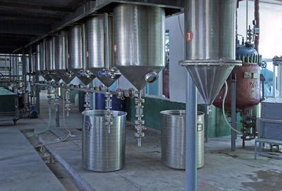 水溶性何首烏提取物10:1