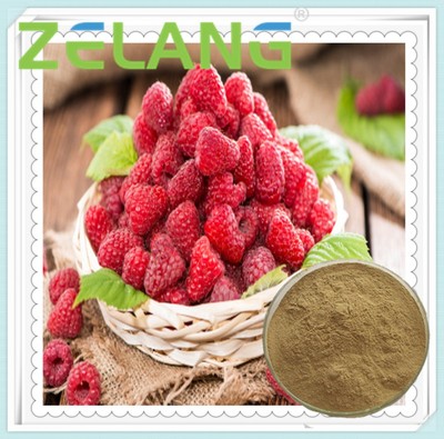 覆盆子提取物壓片代加工_其他產(chǎn)品__食品伙伴網(wǎng)